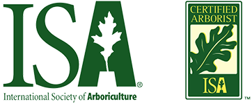 ISA Logo