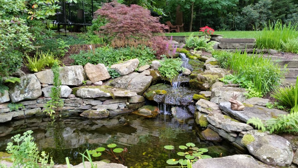 Water pond waterfall nj