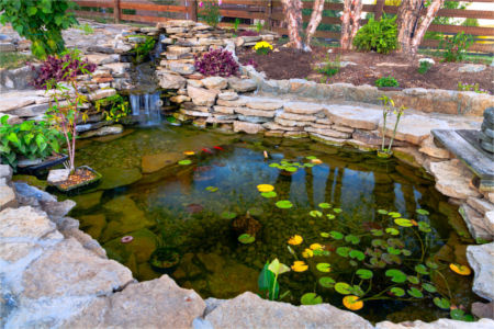 Water ponds waterfalls