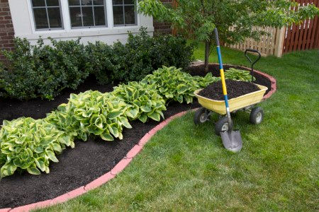 What to look for in a landscape design company